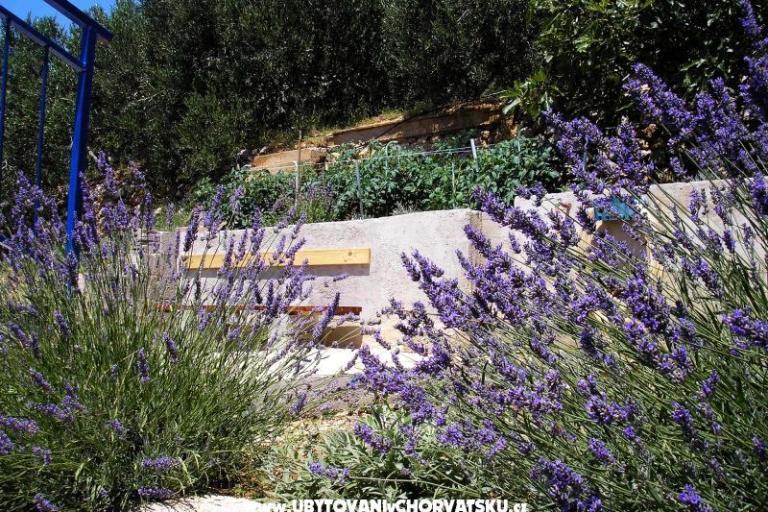 Appartements Dragana – foto 11