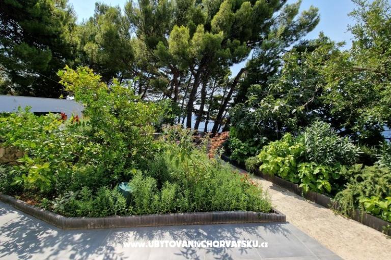 Appartements Hajdi – foto 24