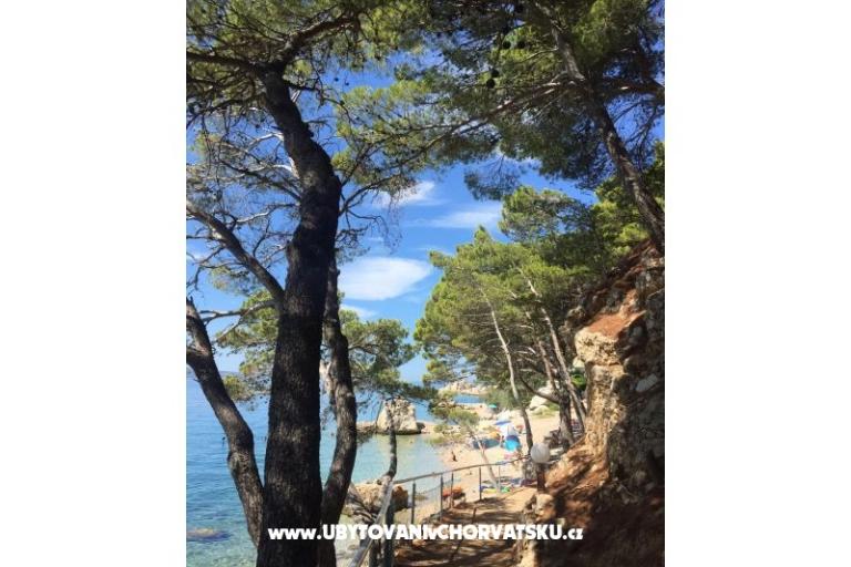 Appartements Iko – foto 16