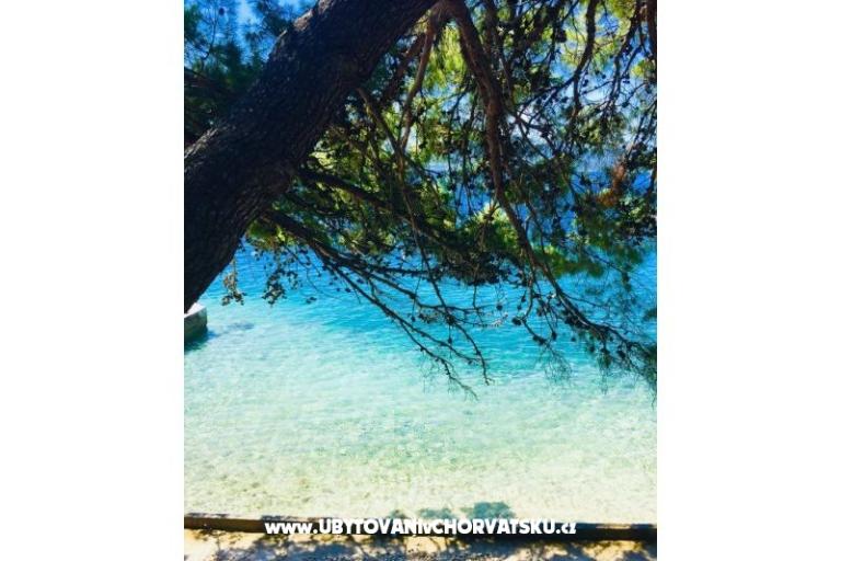 Appartements Iko – foto 8