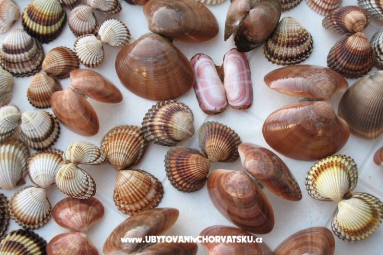 Appartements Kaktus – foto 11