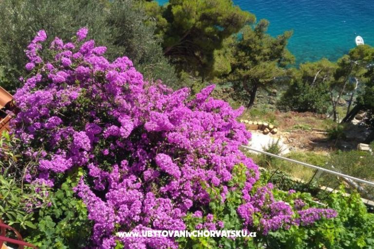 Appartements Katica – foto 20