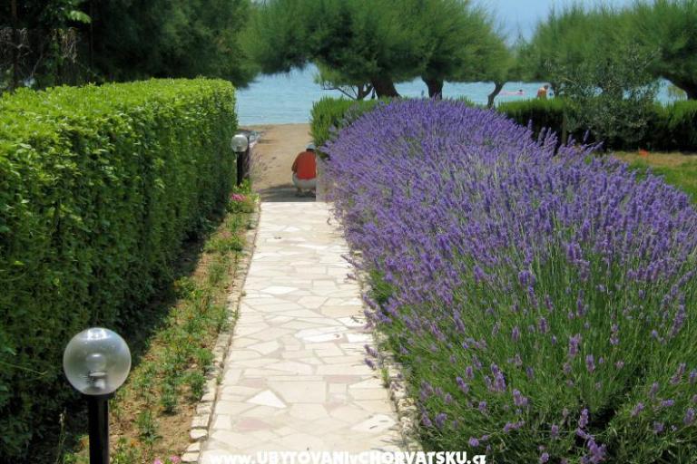 Appartements Lavanda – foto 3