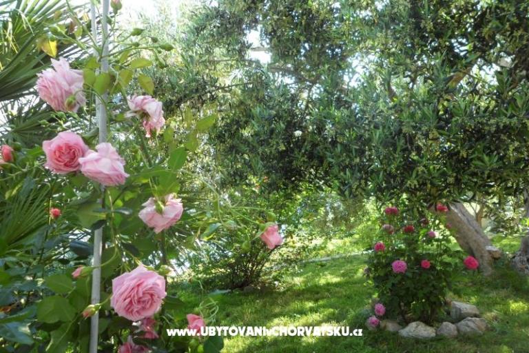 Appartements Maja – foto 6