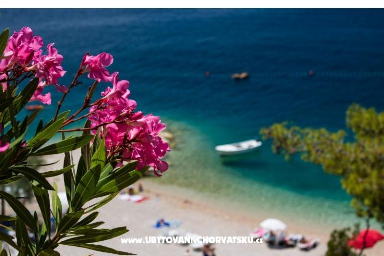 Appartements Mira – foto 17