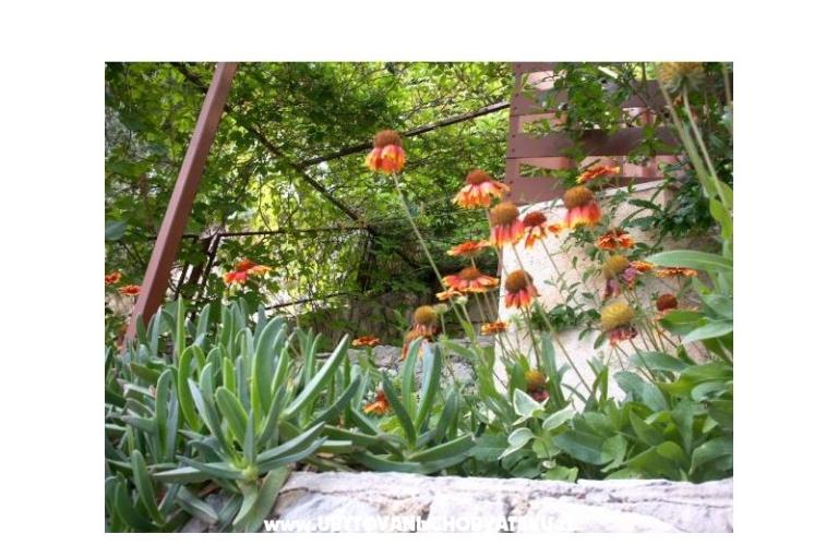 Appartements Mirjana – foto 11