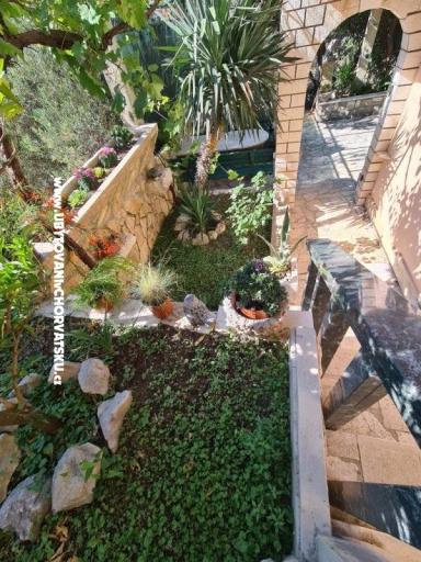 Appartements Miro, Duće – foto 3
