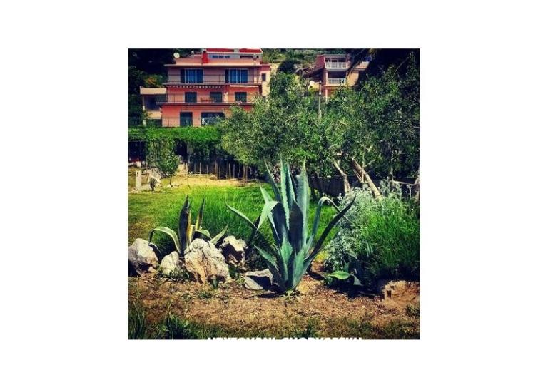 Appartements Miro, Duće – foto 7