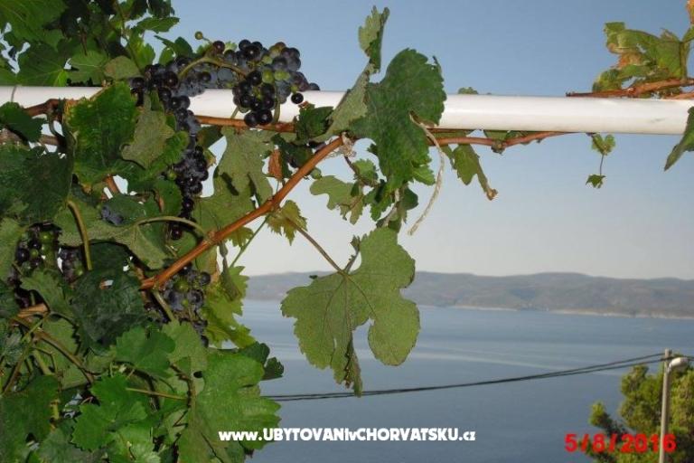 Appartementts More ***Marušići – foto 10