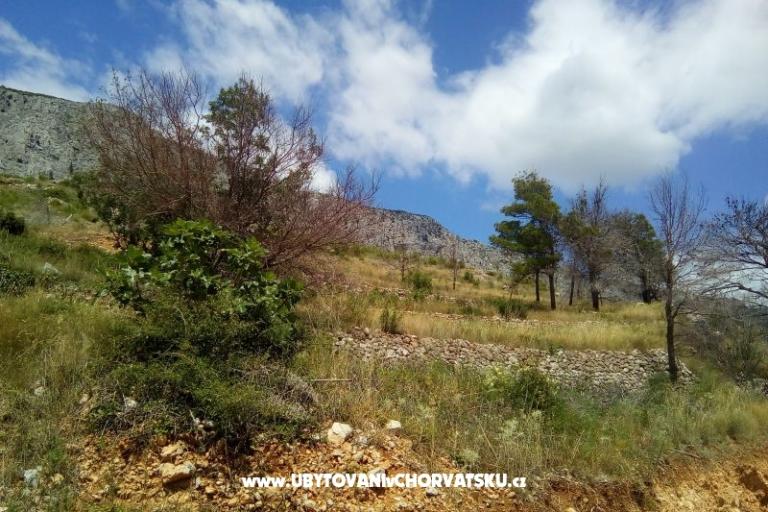 Appartements Nikola – foto 5