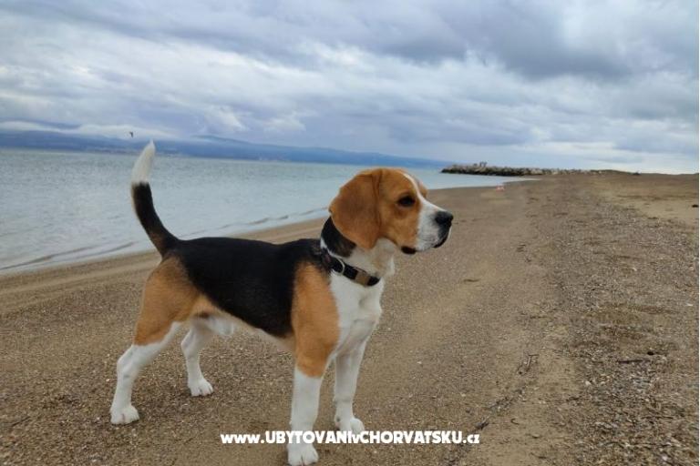 Appartements Tomasović Omiš – foto 17