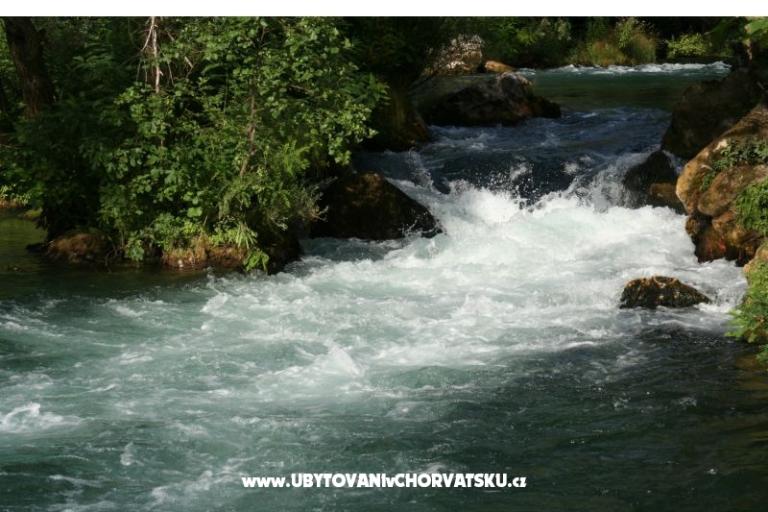 Appartements Višnja – foto 28