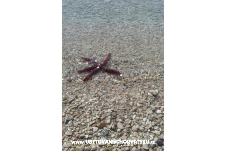 Appartements Višnja – foto 40