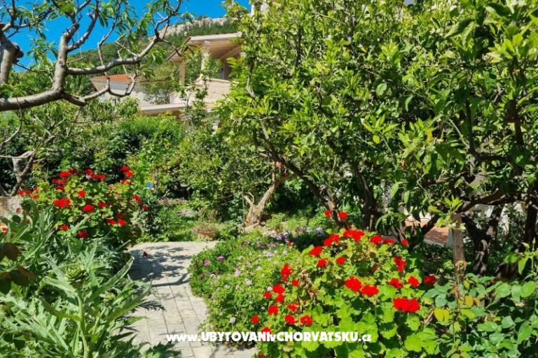 Appartements Diridonda – foto 43