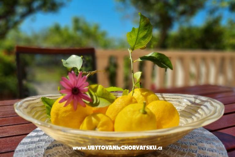 Appartements Diridonda – foto 46