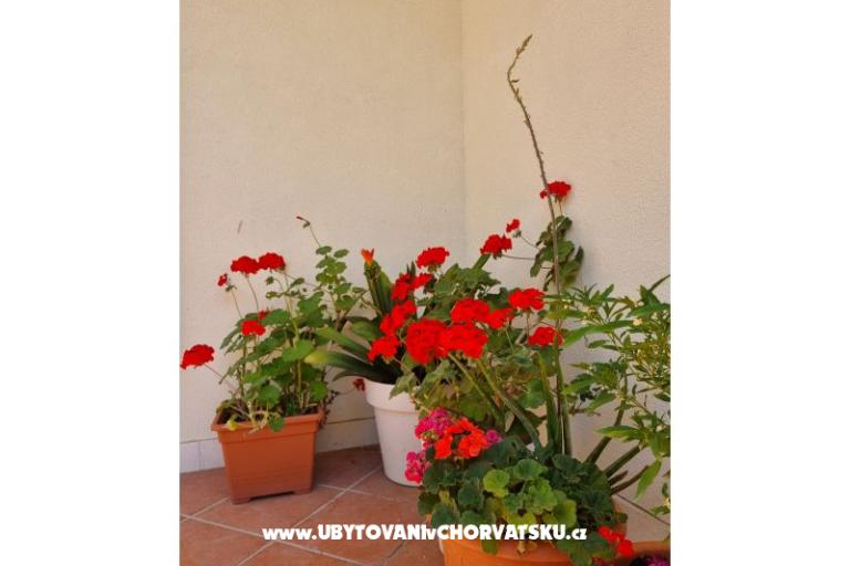 Appartements Diridonda – foto 48