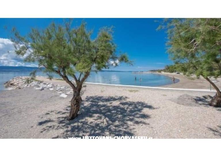 Appartements Diridonda – foto 54