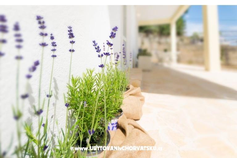 Appartements Mara – foto 5