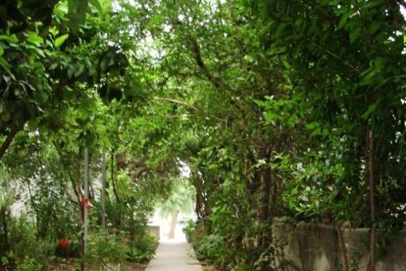 Appartements Mare – foto 7