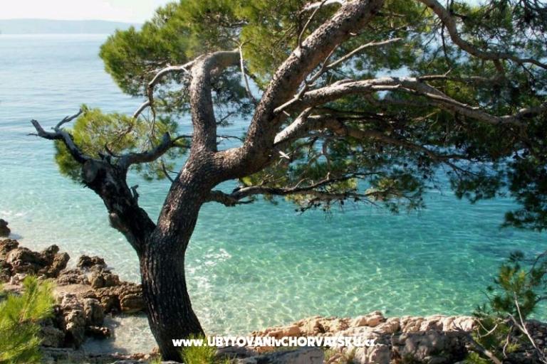 Appartements Milka i Jozo – foto 14