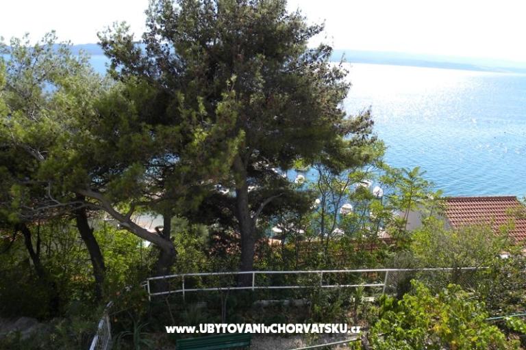 Boženka Maison – foto 4