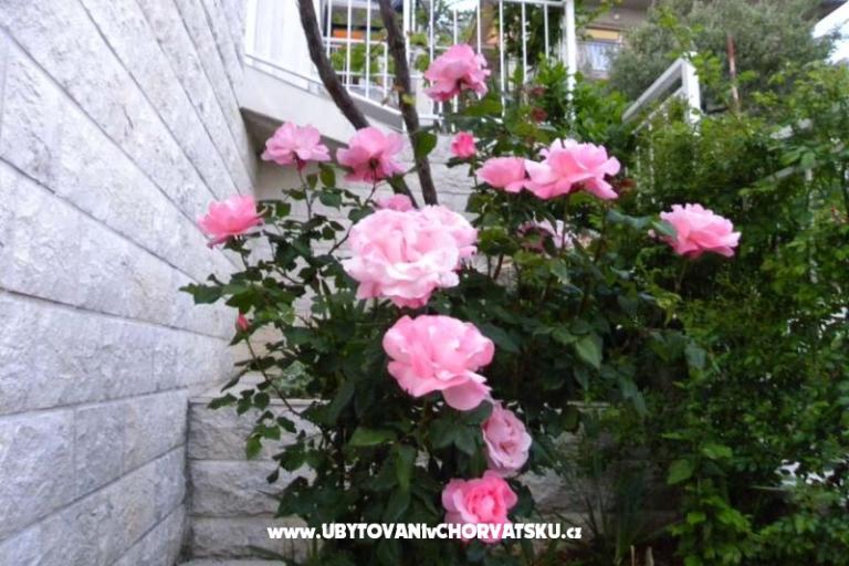 Boženka Maison – foto 6