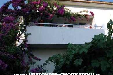  Calypso Diving Appartements – foto 11