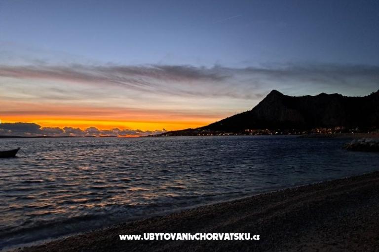  Calypso Diving Appartements – foto 18