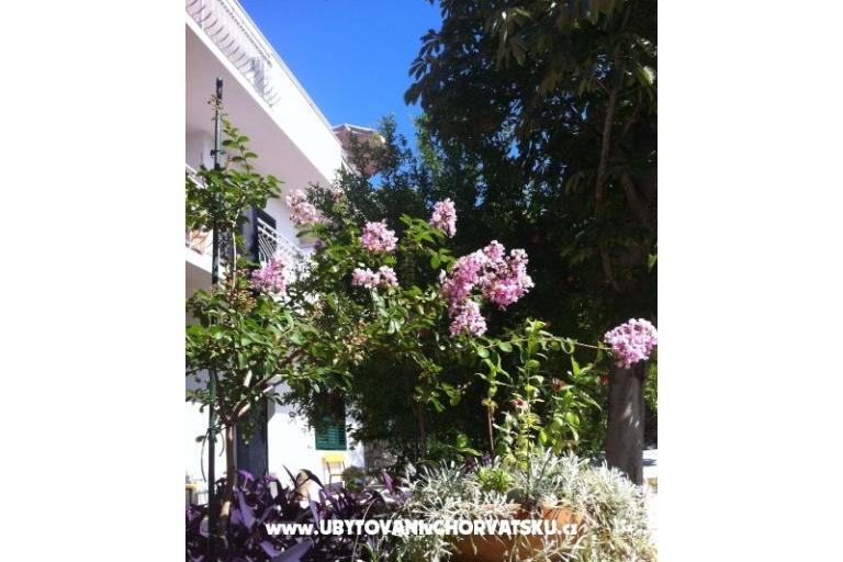 Maison Kuzmanić – foto 6