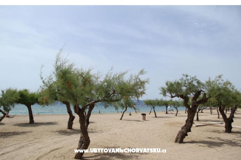 Jure &amp; Marija Studio apartmani – foto 19