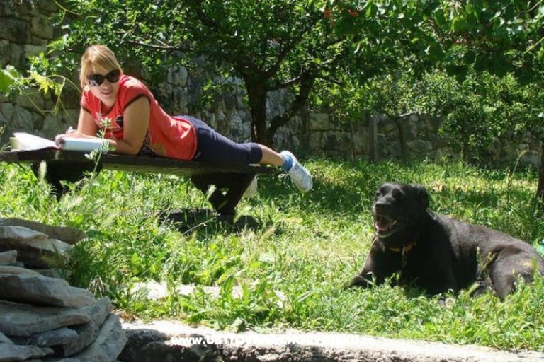 Maison en pierre – foto 15