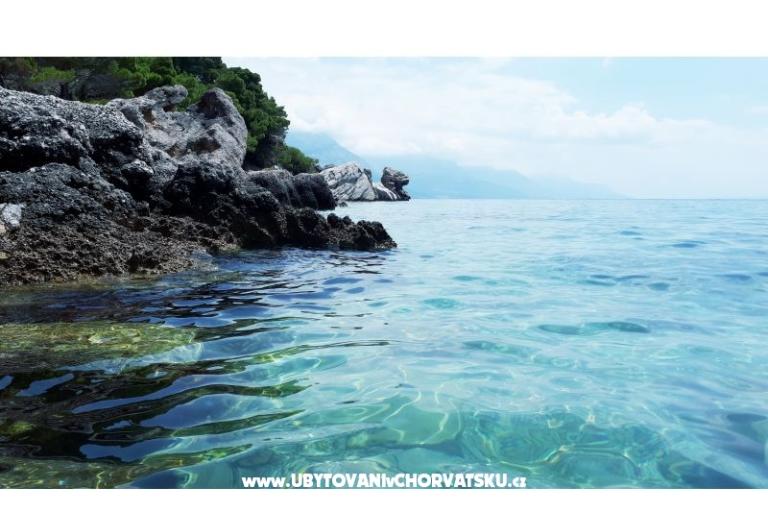 Mioč apartments – foto 11