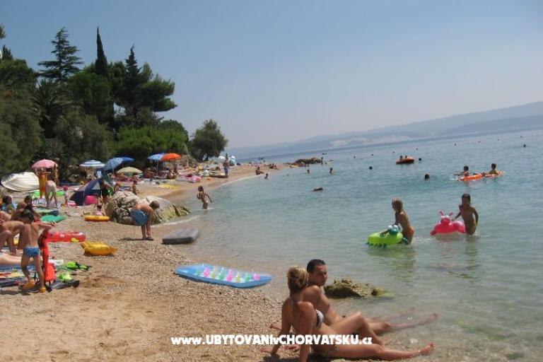 Vila ANI    – foto 14