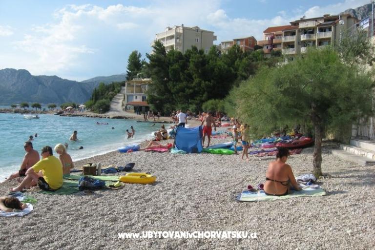 Vila ANI    – foto 15