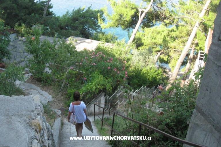 Vila ANI    – foto 16