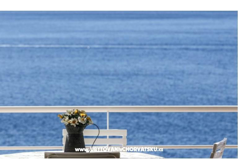 Villa Boris – foto 12