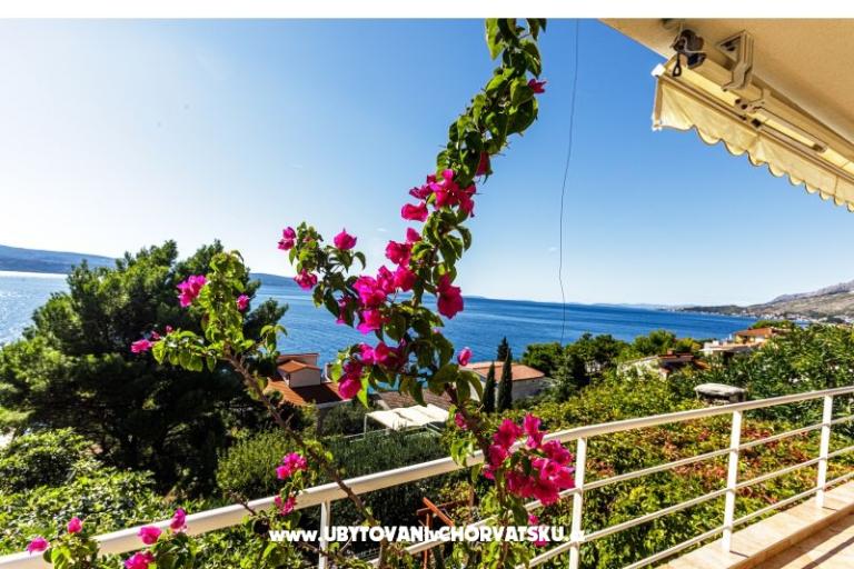 Villa Boris – foto 6