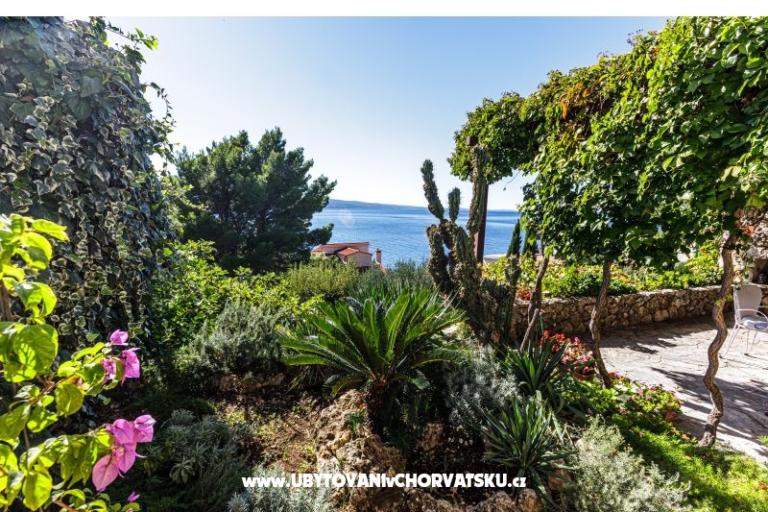 Villa Boris – foto 7