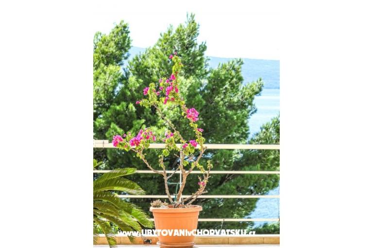 Villa Boris – foto 9