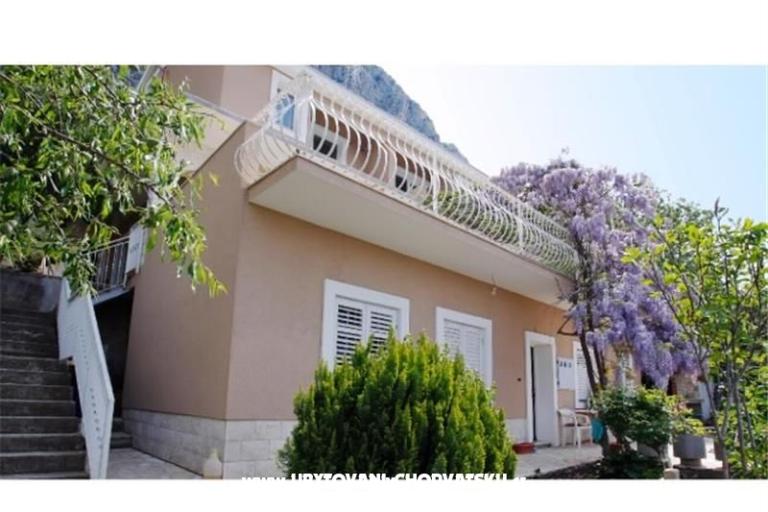 Villa Fig – foto 16