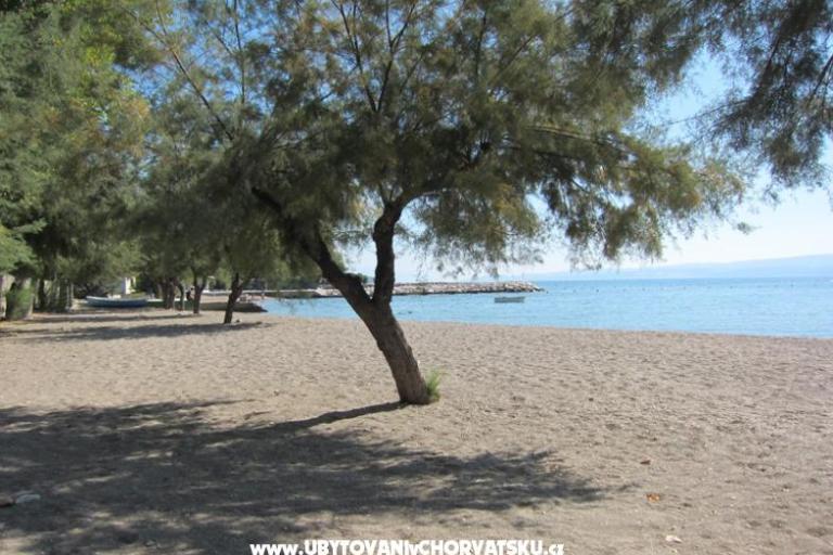 Villa Grana – foto 5