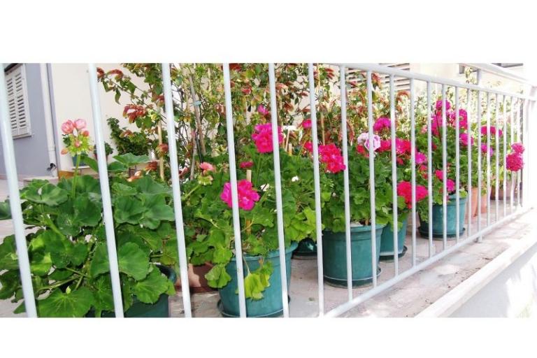 Villa Pošćer – foto 11