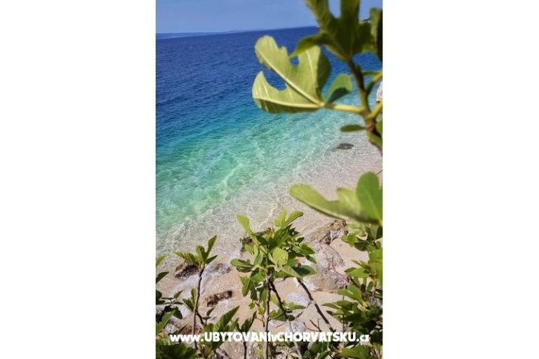 Villa Pošćer – foto 18