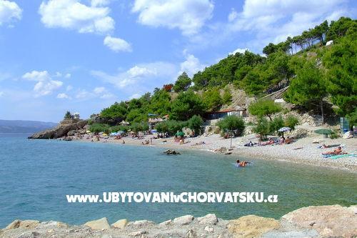 Villa Pošćer – foto 8