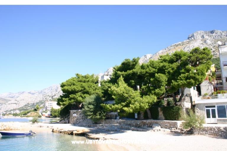 Villa Irma – foto 2