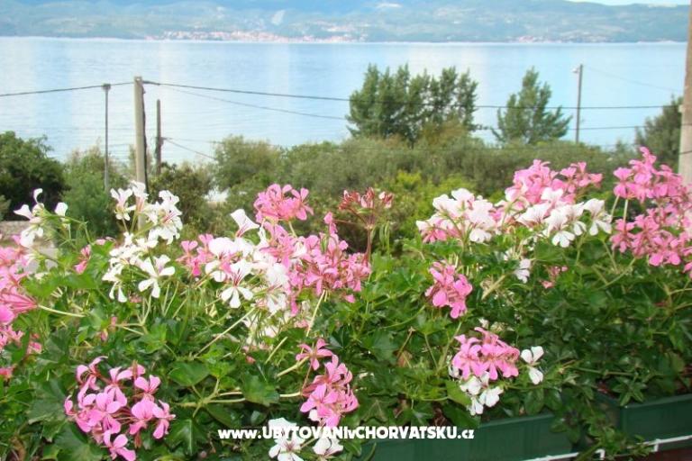 Villa Sunce – foto 14