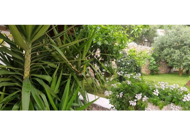 Villa Sunce – foto 15