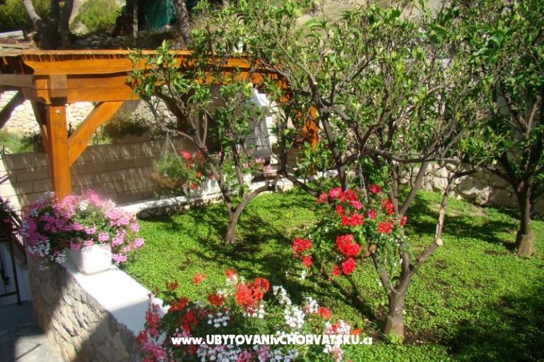 Villa Sunce – foto 2