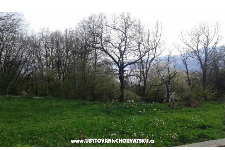 Appartement AS ROYAL – foto 4