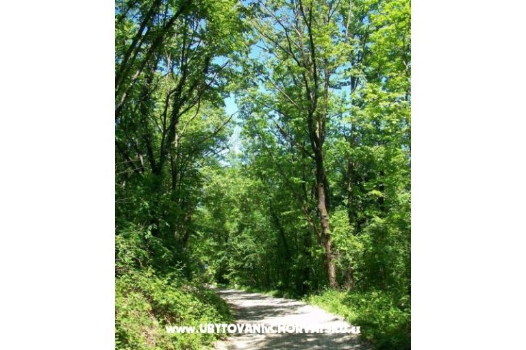 Appartement Filipović Kastav – foto 17